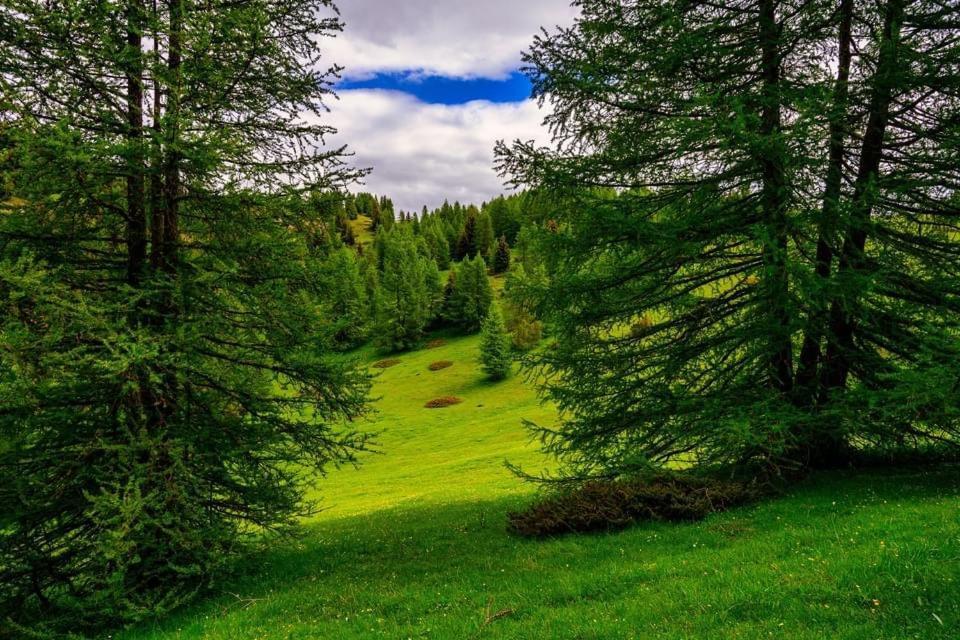 Eco-Hotel Et Yourtes Du Mercantour Guillaumes Bagian luar foto